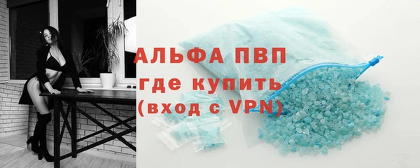 стафф Алексин