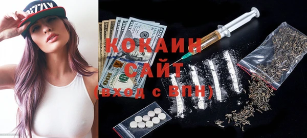 стафф Алексин
