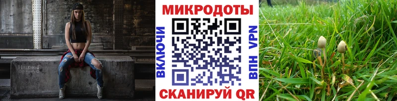 купить наркотик  Урюпинск  Галлюциногенные грибы MAGIC MUSHROOMS 