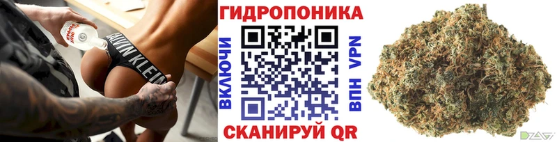 Бошки марихуана планчик  Урюпинск 